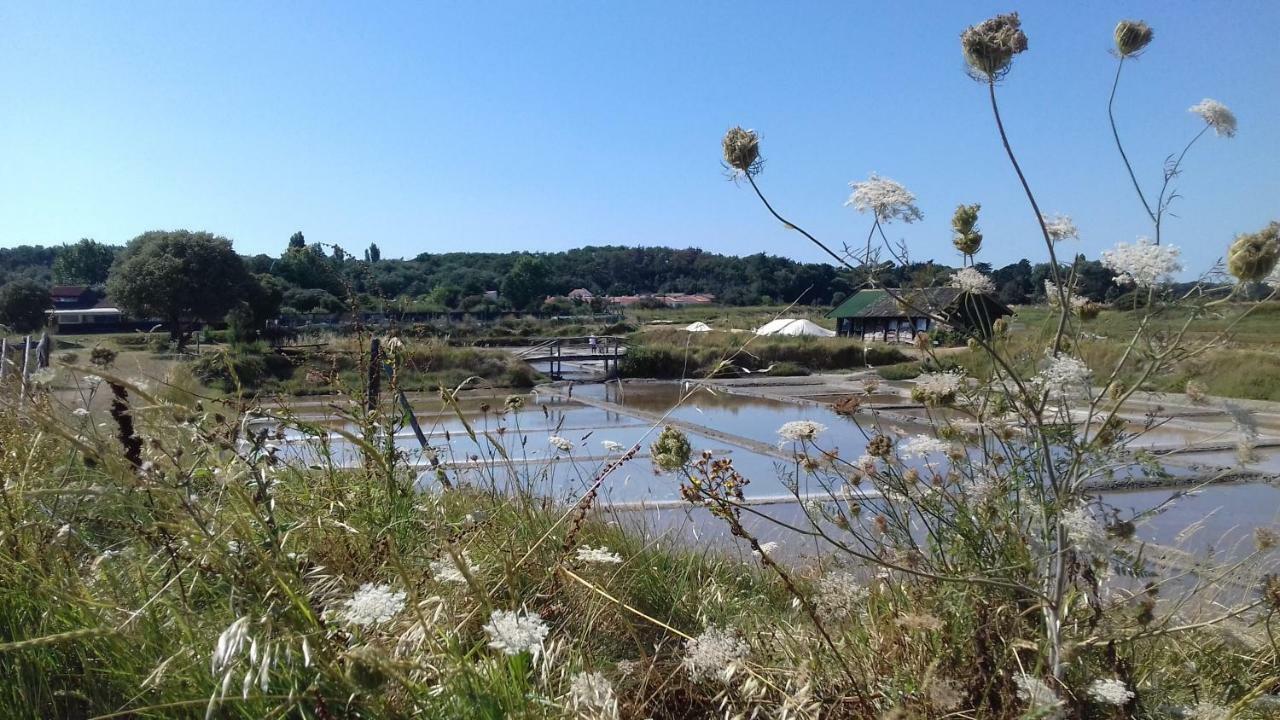 Vila La Chaumette Les Sables-dʼOlonne Exteriér fotografie